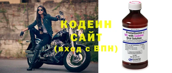 прущие грибы Абаза