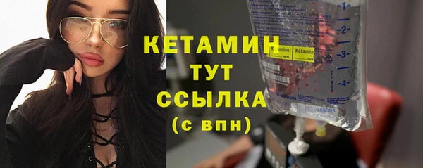 прущие грибы Абаза