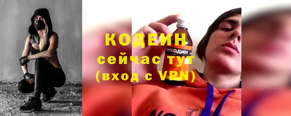 прущие грибы Абаза