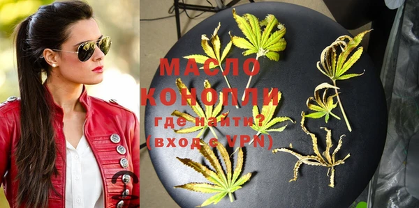 прущие грибы Абаза