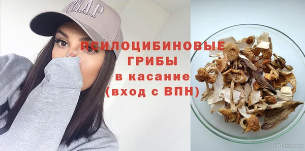 прущие грибы Абаза
