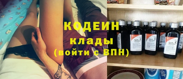 прущие грибы Абаза