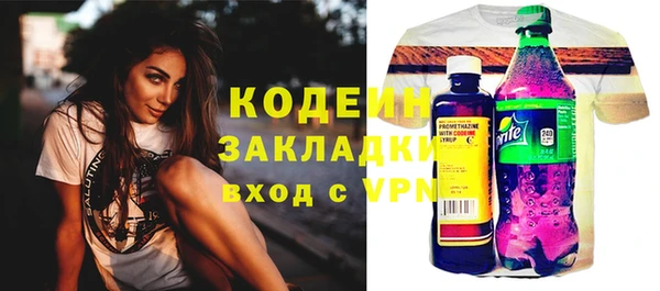 прущие грибы Абаза
