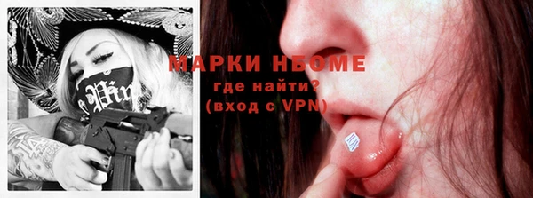 прущие грибы Абаза