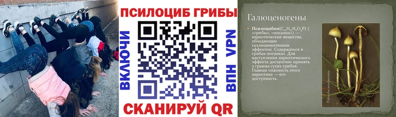 это клад  кракен ссылки  Тайга  Псилоцибиновые грибы ЛСД 